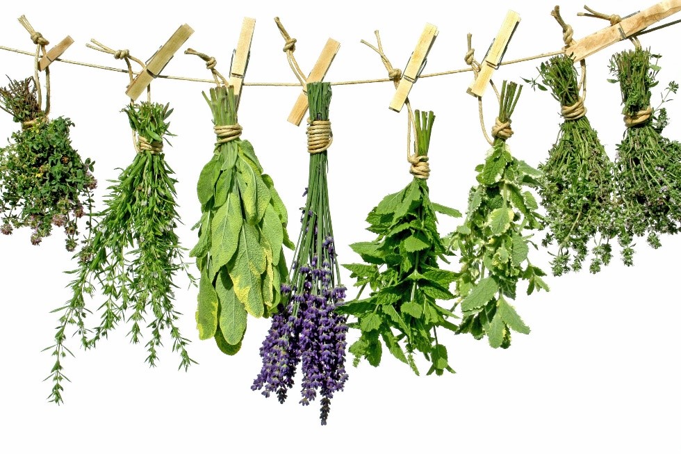 Leafy Spices