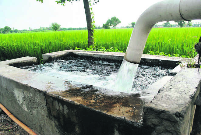 over- extraction of local Spring water sources
